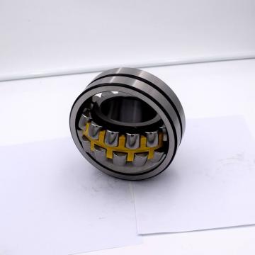 17 mm x 40 mm x 12 mm  FAG NUP203-E-TVP2  Cylindrical Roller Bearings