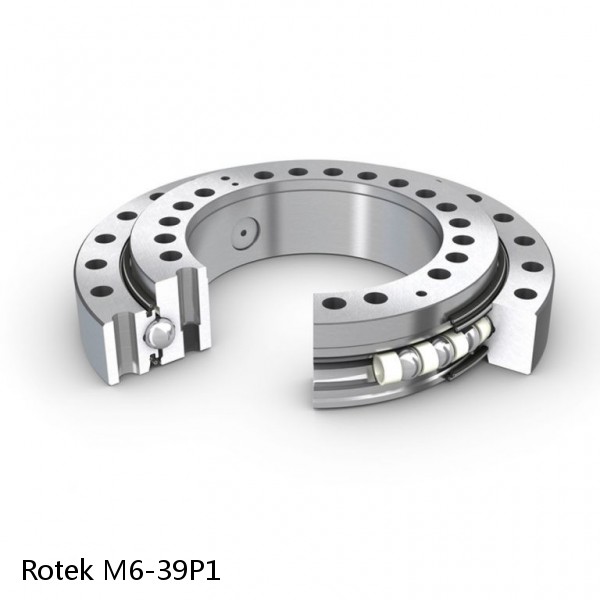 M6-39P1 Rotek Slewing Ring Bearings