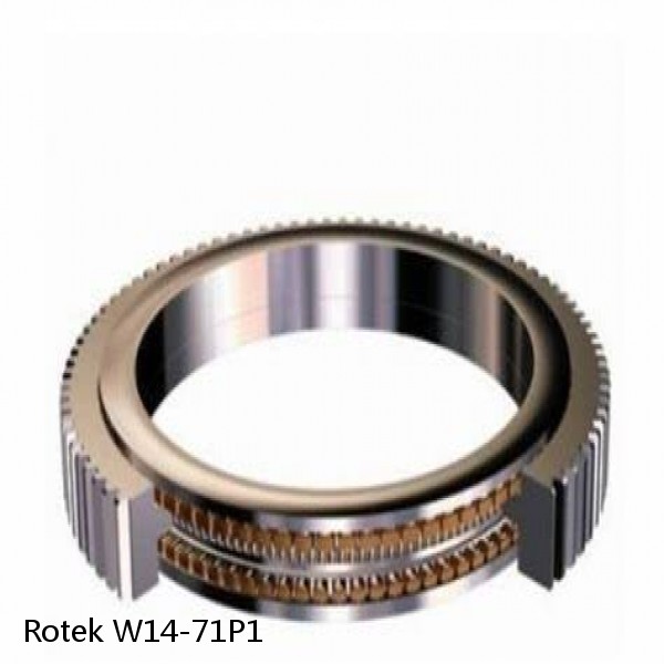 W14-71P1 Rotek Slewing Ring Bearings