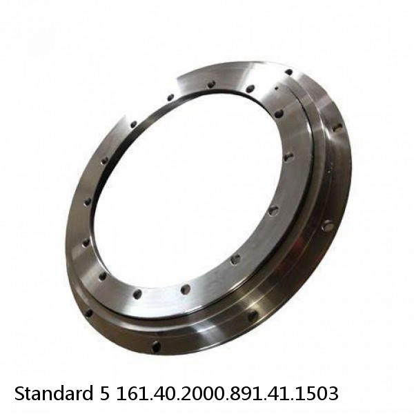 161.40.2000.891.41.1503 Standard 5 Slewing Ring Bearings