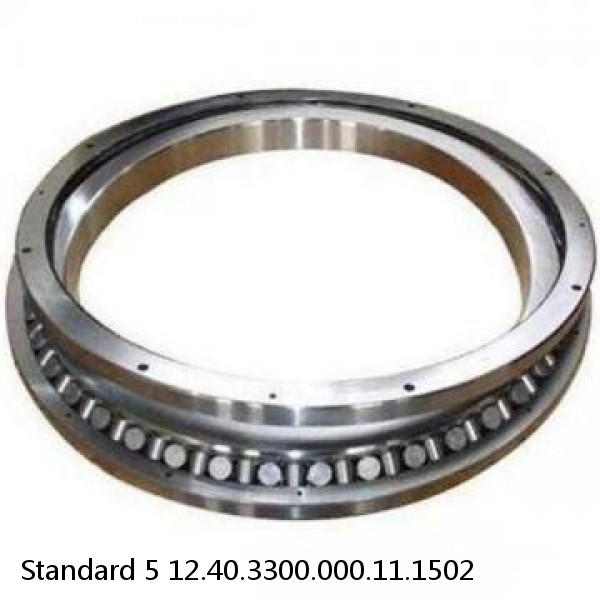 12.40.3300.000.11.1502 Standard 5 Slewing Ring Bearings