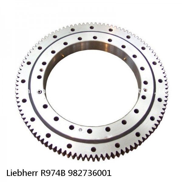 982736001 Liebherr R974B Slewing Ring