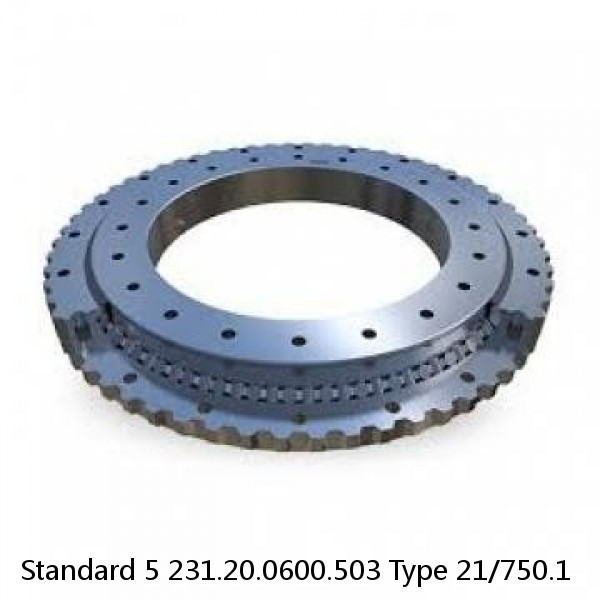 231.20.0600.503 Type 21/750.1 Standard 5 Slewing Ring Bearings