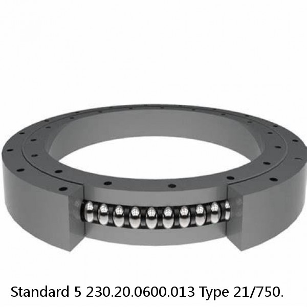 230.20.0600.013 Type 21/750. Standard 5 Slewing Ring Bearings