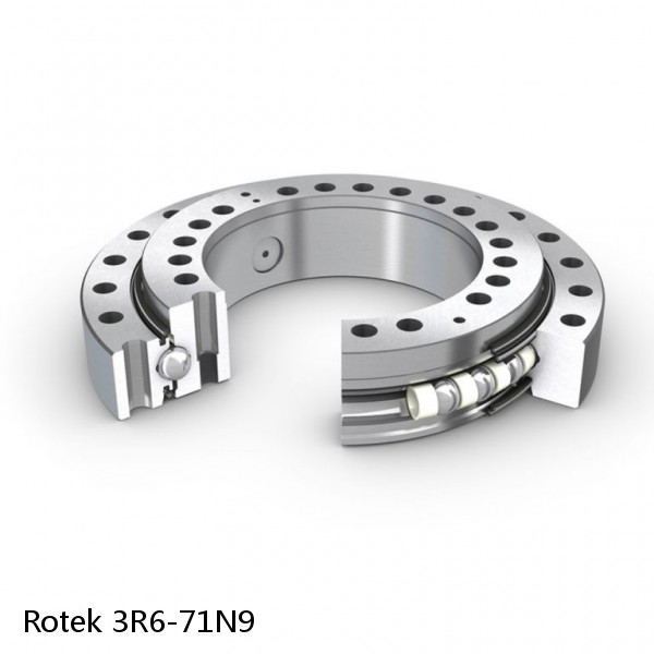 3R6-71N9 Rotek Slewing Ring Bearings