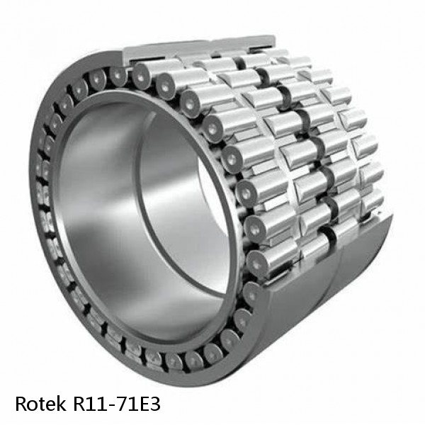 R11-71E3 Rotek Slewing Ring Bearings