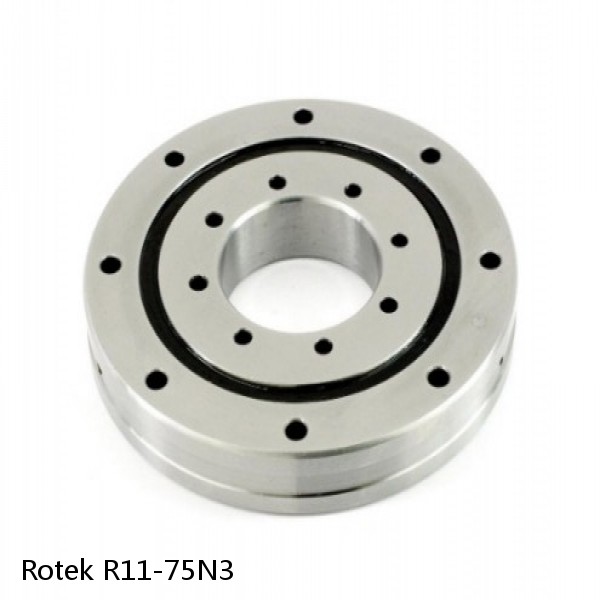 R11-75N3 Rotek Slewing Ring Bearings