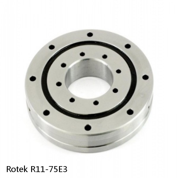 R11-75E3 Rotek Slewing Ring Bearings