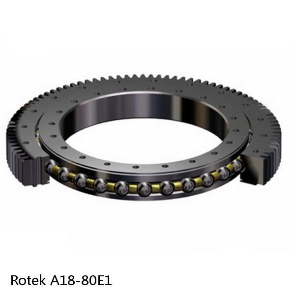 A18-80E1 Rotek Slewing Ring Bearings