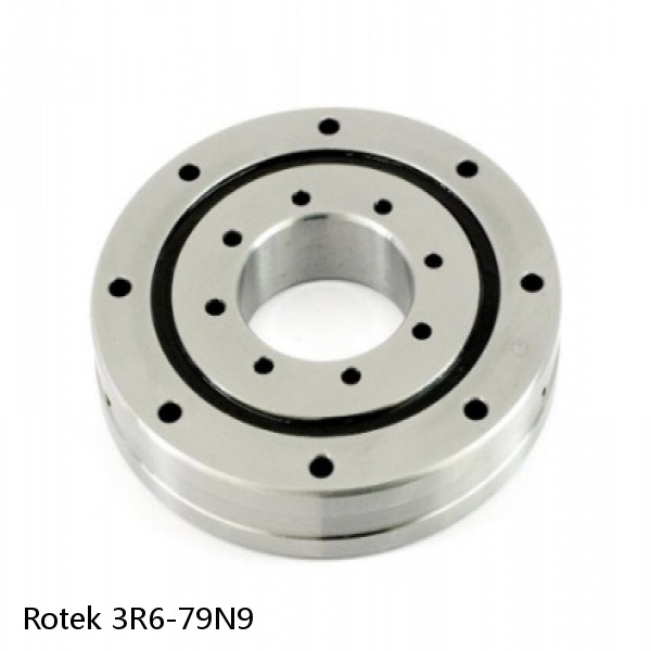 3R6-79N9 Rotek Slewing Ring Bearings