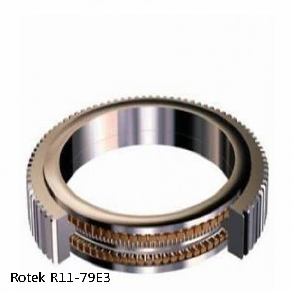 R11-79E3 Rotek Slewing Ring Bearings