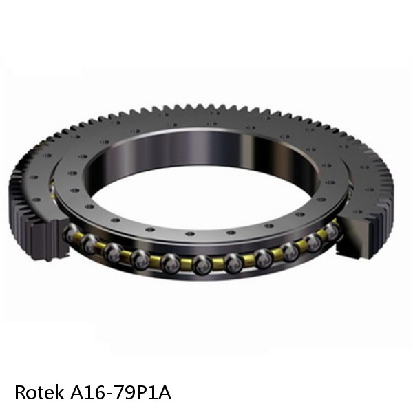 A16-79P1A Rotek Slewing Ring Bearings