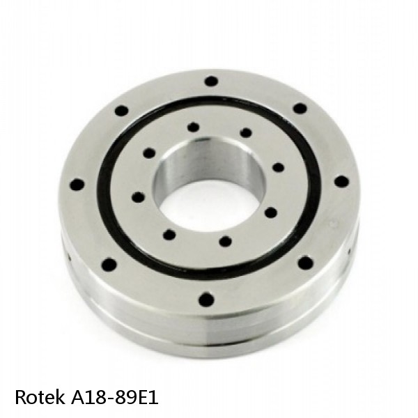 A18-89E1 Rotek Slewing Ring Bearings