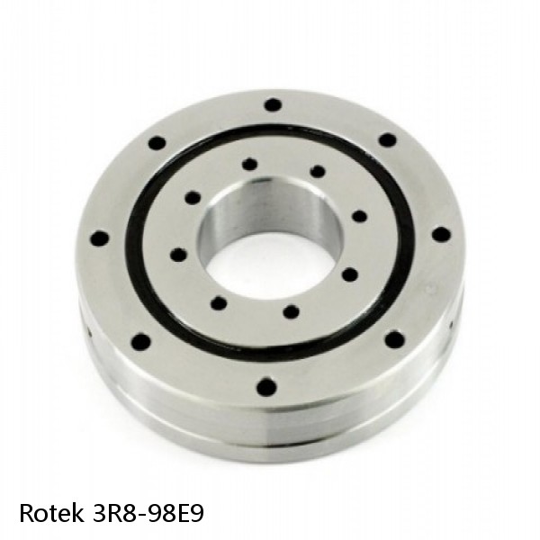 3R8-98E9 Rotek Slewing Ring Bearings