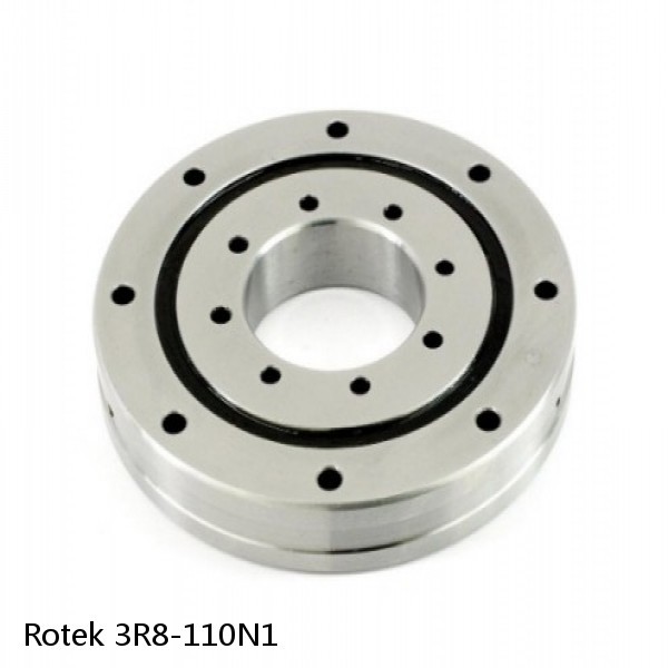 3R8-110N1 Rotek Slewing Ring Bearings