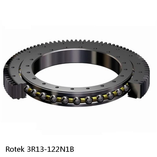 3R13-122N1B Rotek Slewing Ring Bearings