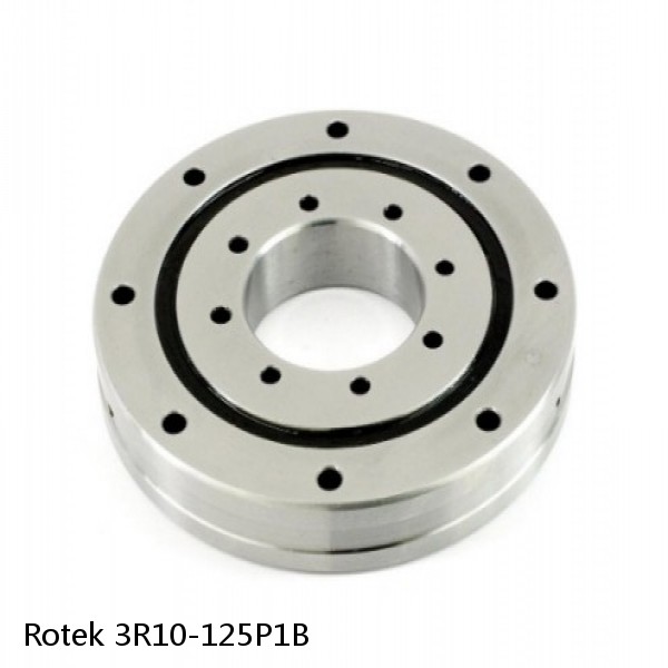 3R10-125P1B Rotek Slewing Ring Bearings