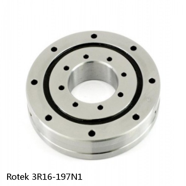 3R16-197N1 Rotek Slewing Ring Bearings