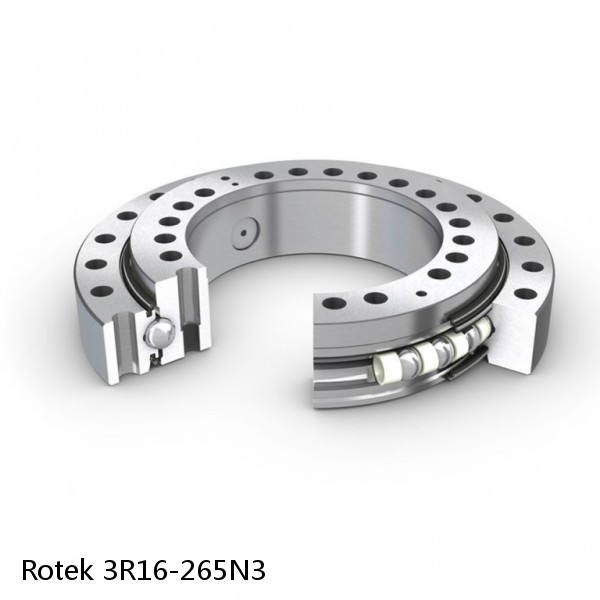 3R16-265N3 Rotek Slewing Ring Bearings