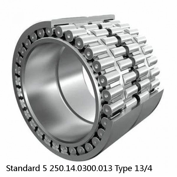 250.14.0300.013 Type 13/4 Standard 5 Slewing Ring Bearings