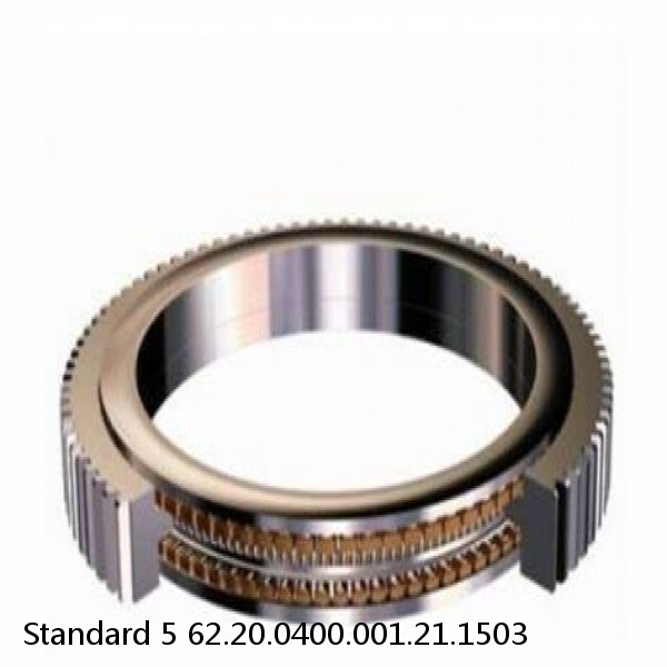 62.20.0400.001.21.1503 Standard 5 Slewing Ring Bearings