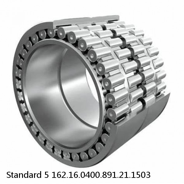 162.16.0400.891.21.1503 Standard 5 Slewing Ring Bearings