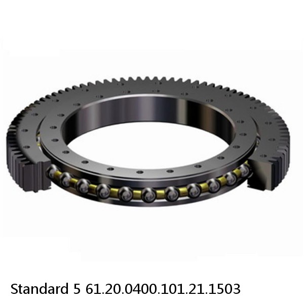 61.20.0400.101.21.1503 Standard 5 Slewing Ring Bearings