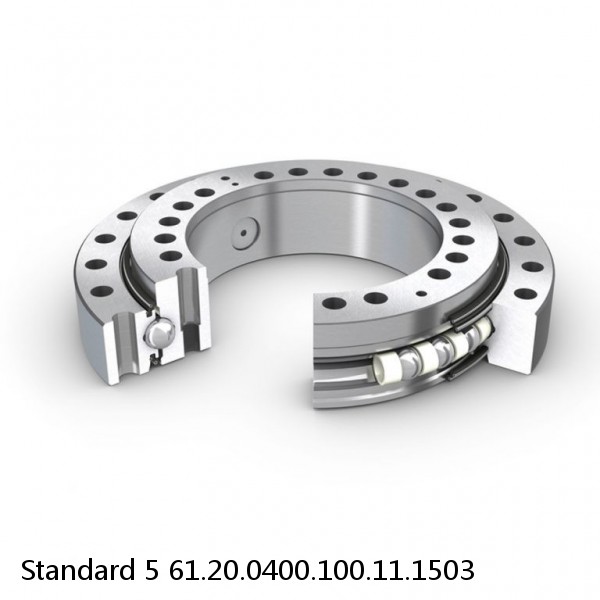 61.20.0400.100.11.1503 Standard 5 Slewing Ring Bearings