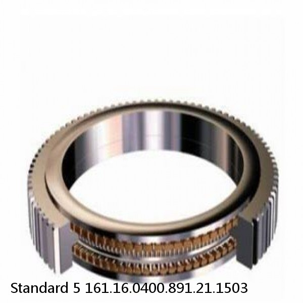 161.16.0400.891.21.1503 Standard 5 Slewing Ring Bearings