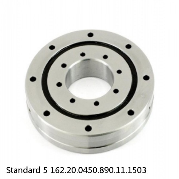 162.20.0450.890.11.1503 Standard 5 Slewing Ring Bearings