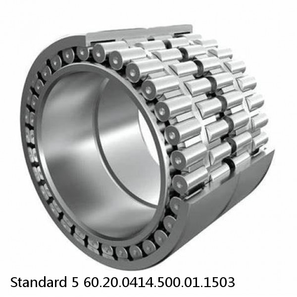 60.20.0414.500.01.1503 Standard 5 Slewing Ring Bearings