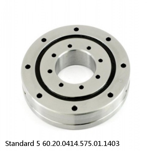 60.20.0414.575.01.1403 Standard 5 Slewing Ring Bearings