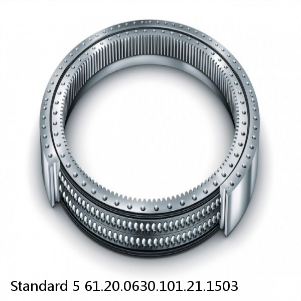 61.20.0630.101.21.1503 Standard 5 Slewing Ring Bearings