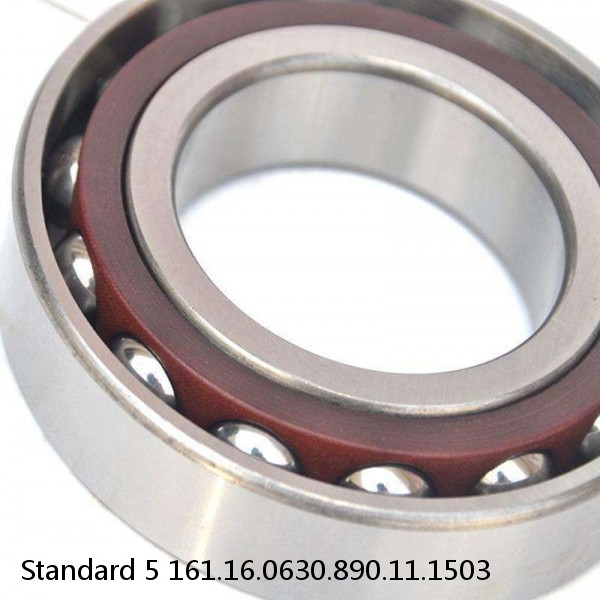 161.16.0630.890.11.1503 Standard 5 Slewing Ring Bearings