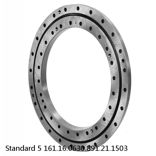 161.16.0630.891.21.1503 Standard 5 Slewing Ring Bearings