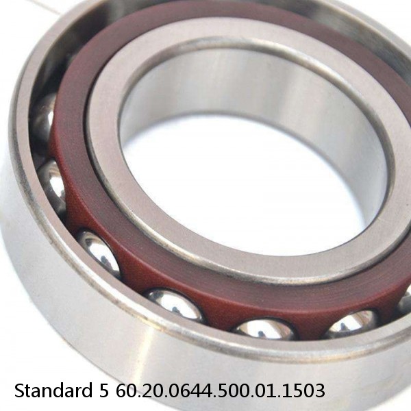 60.20.0644.500.01.1503 Standard 5 Slewing Ring Bearings