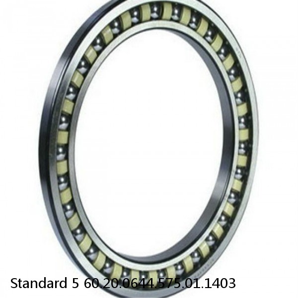 60.20.0644.575.01.1403 Standard 5 Slewing Ring Bearings