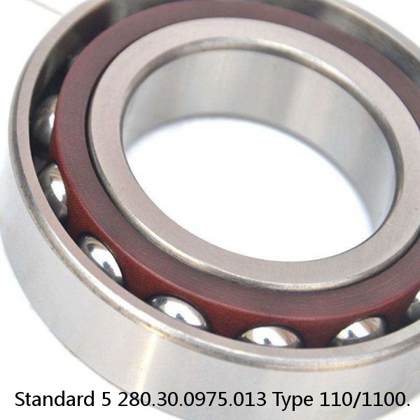 280.30.0975.013 Type 110/1100. Standard 5 Slewing Ring Bearings