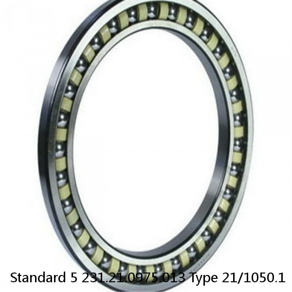 231.21.0975.013 Type 21/1050.1 Standard 5 Slewing Ring Bearings