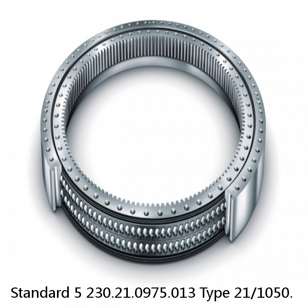 230.21.0975.013 Type 21/1050. Standard 5 Slewing Ring Bearings