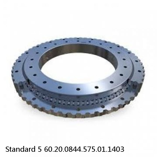 60.20.0844.575.01.1403 Standard 5 Slewing Ring Bearings