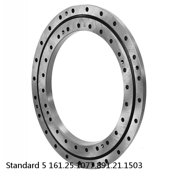 161.25.1077.891.21.1503 Standard 5 Slewing Ring Bearings