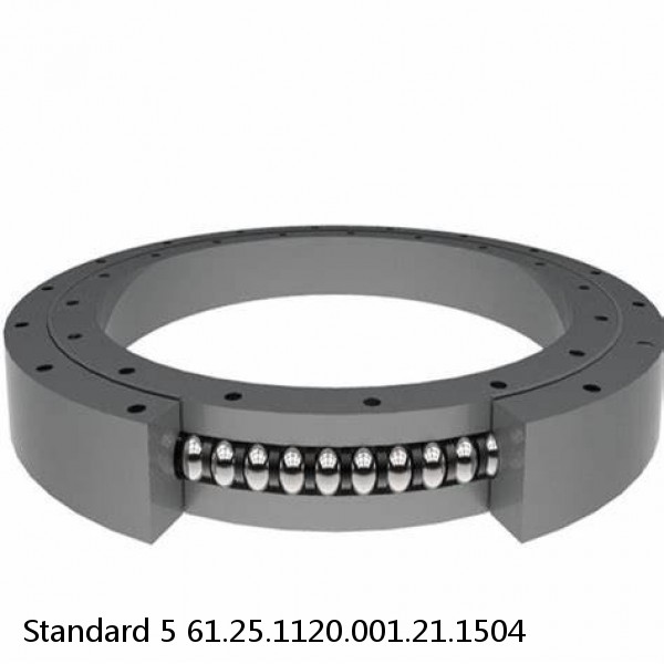 61.25.1120.001.21.1504 Standard 5 Slewing Ring Bearings