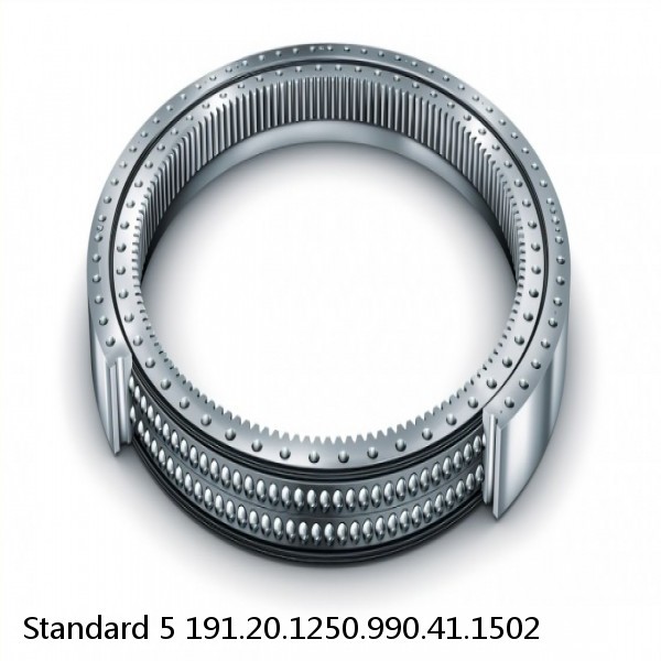 191.20.1250.990.41.1502 Standard 5 Slewing Ring Bearings