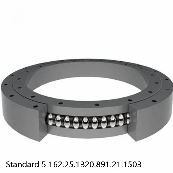 162.25.1320.891.21.1503 Standard 5 Slewing Ring Bearings