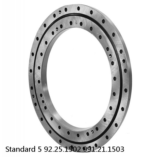92.25.1502.991.21.1503 Standard 5 Slewing Ring Bearings