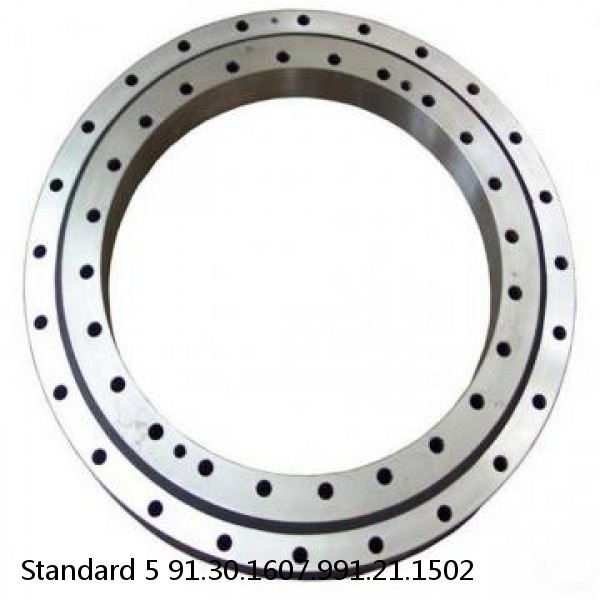 91.30.1607.991.21.1502 Standard 5 Slewing Ring Bearings