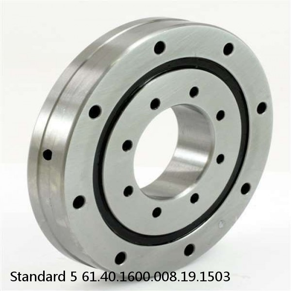 61.40.1600.008.19.1503 Standard 5 Slewing Ring Bearings