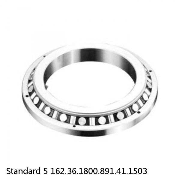 162.36.1800.891.41.1503 Standard 5 Slewing Ring Bearings