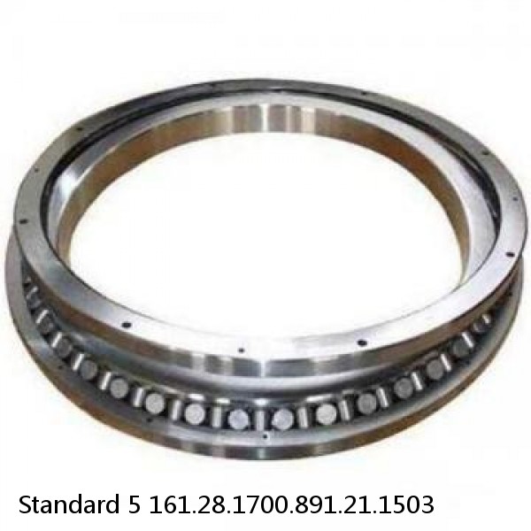 161.28.1700.891.21.1503 Standard 5 Slewing Ring Bearings